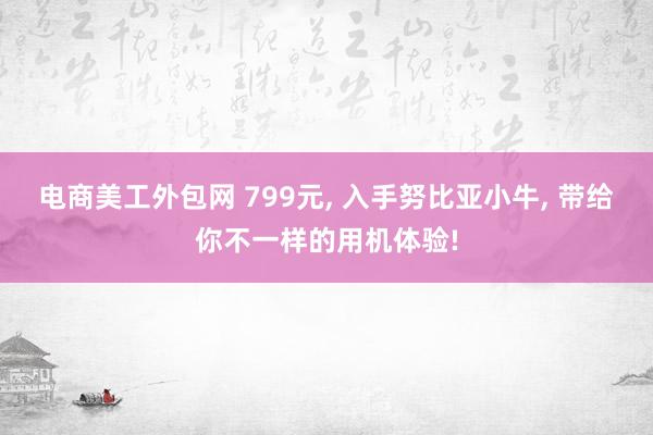 电商美工外包网 799元, 入手努比亚小牛, 带给你不一样的用机体验!